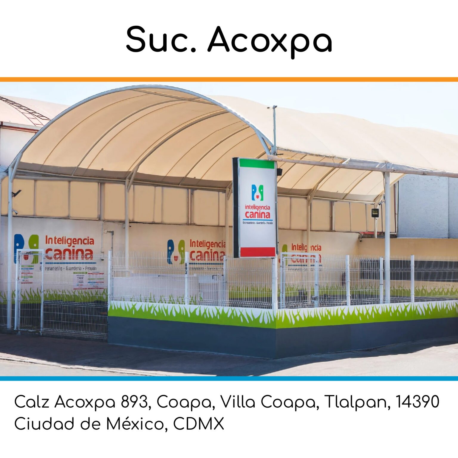 sucursales intel canina_Mesa de trabajo 1 copia 3