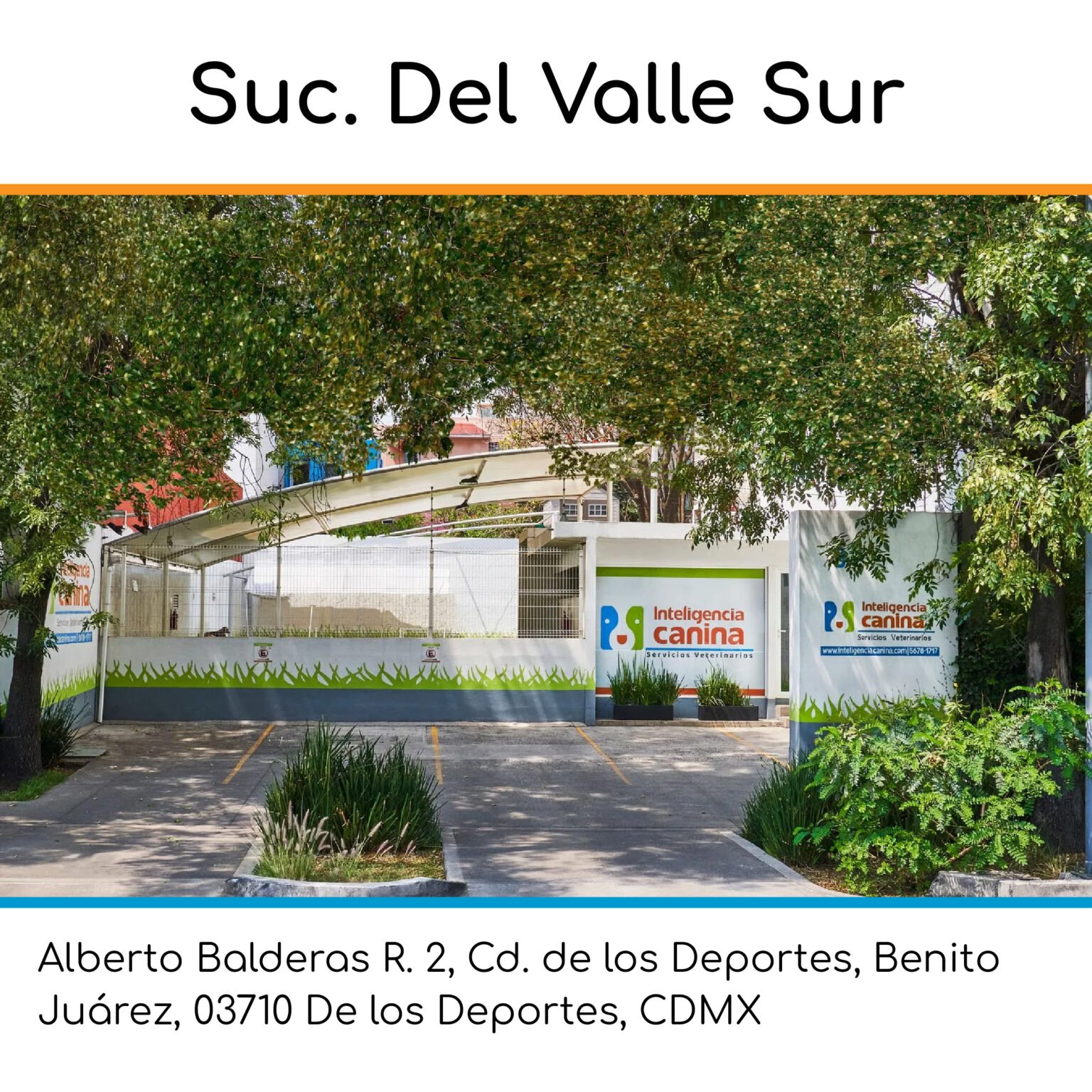 sucursales intel canina_Mesa de trabajo 1 copia 4