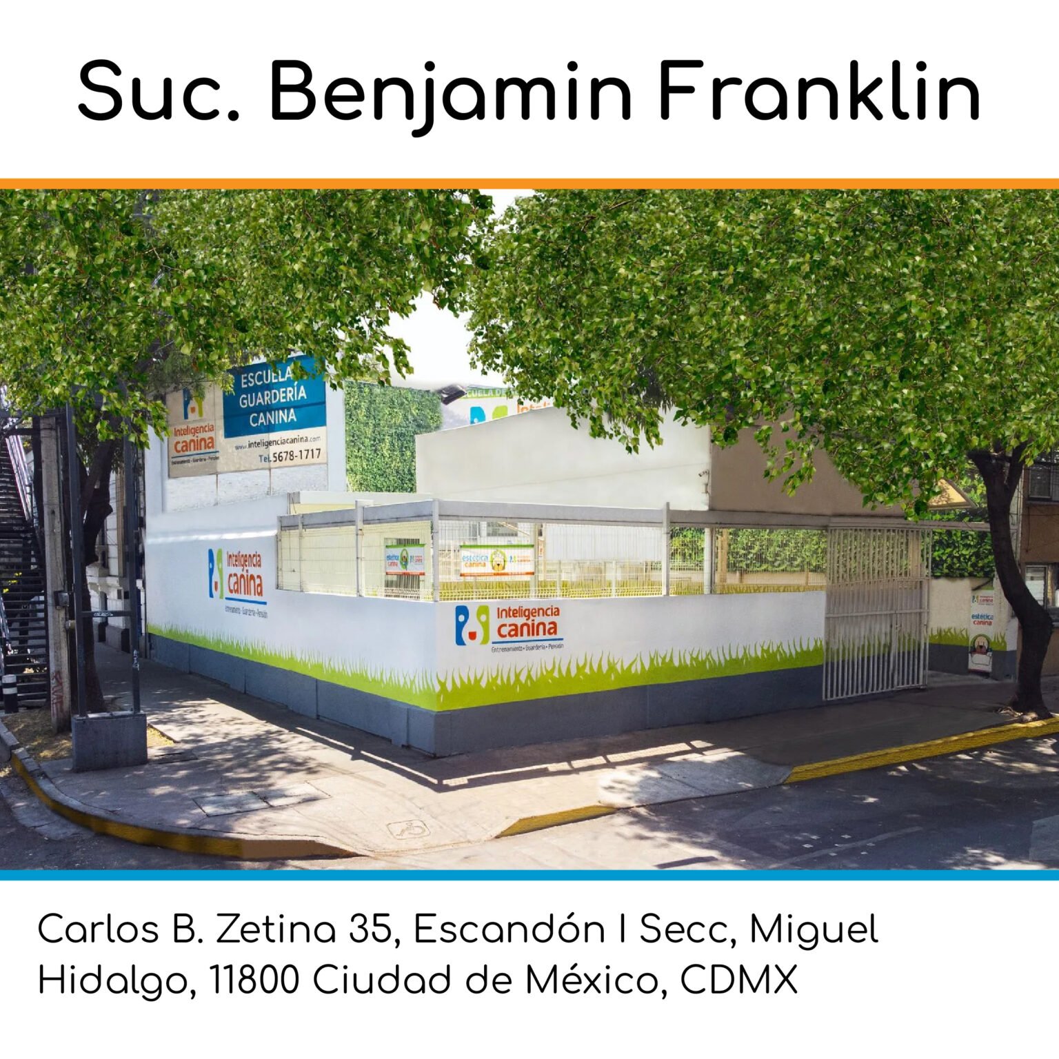 sucursales intel canina_Mesa de trabajo 1 copia 5
