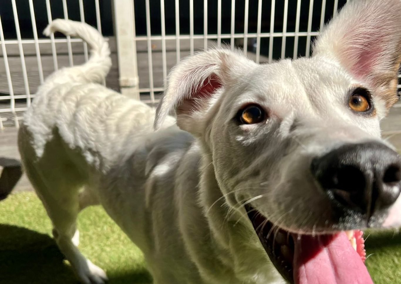 WhatsApp Image 2025-01-17 at 12.40.42 PM