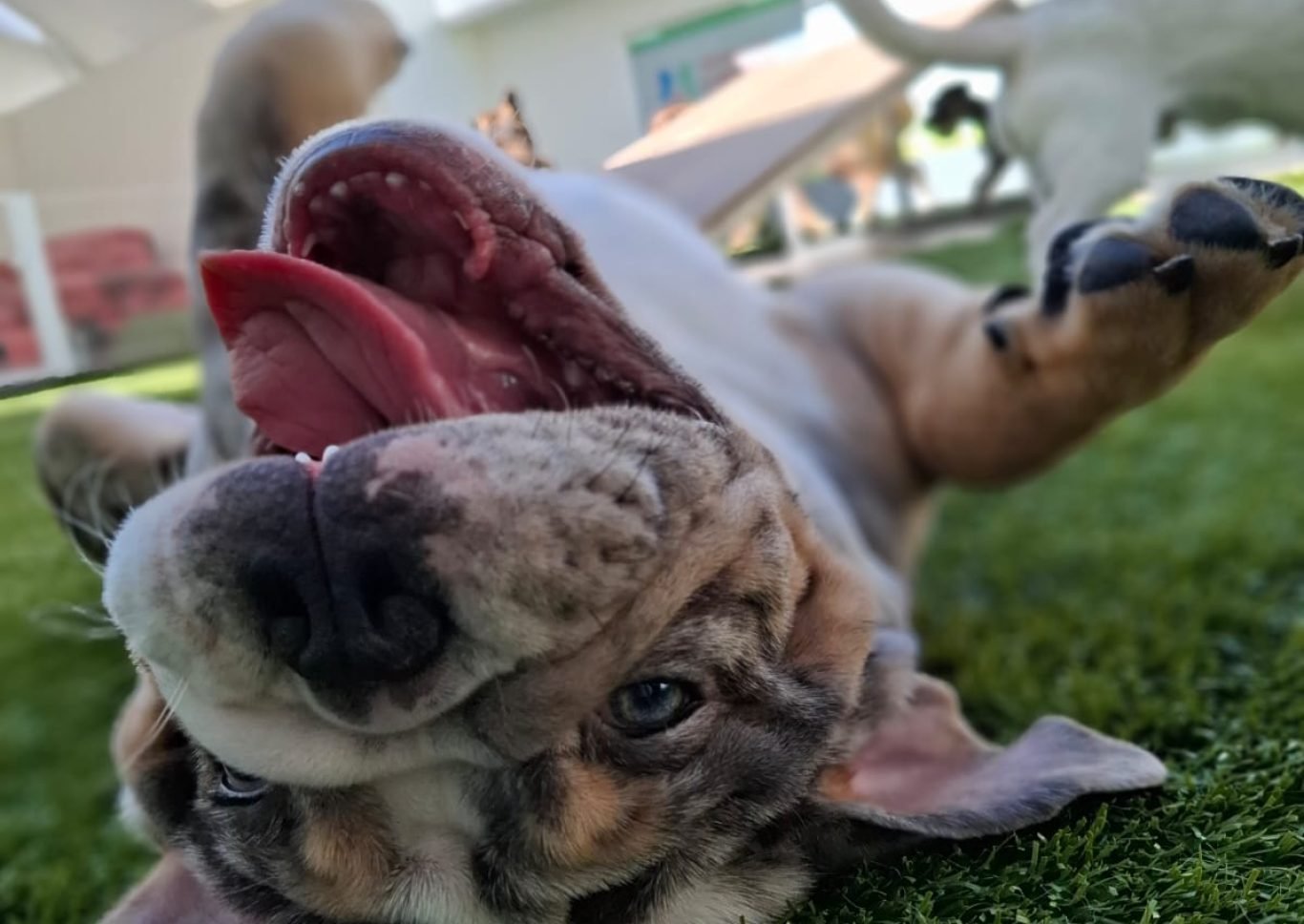 WhatsApp Image 2025-01-21 at 12.15.08 PM