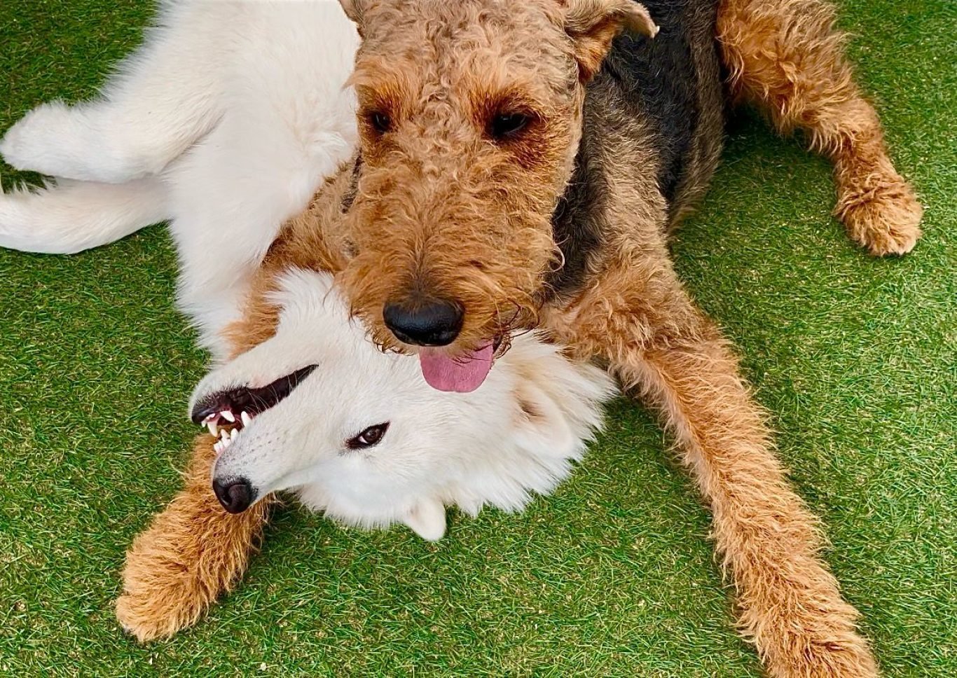 WhatsApp Image 2025-02-13 at 1.16.40 PM