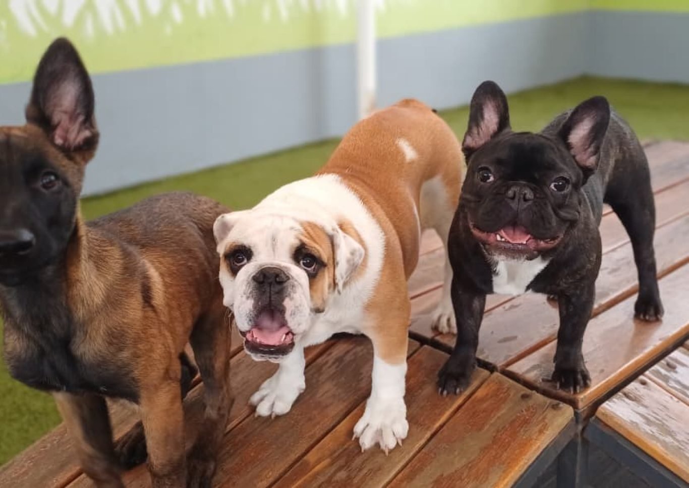 WhatsApp Image 2025-04-08 at 4.41.38 PM