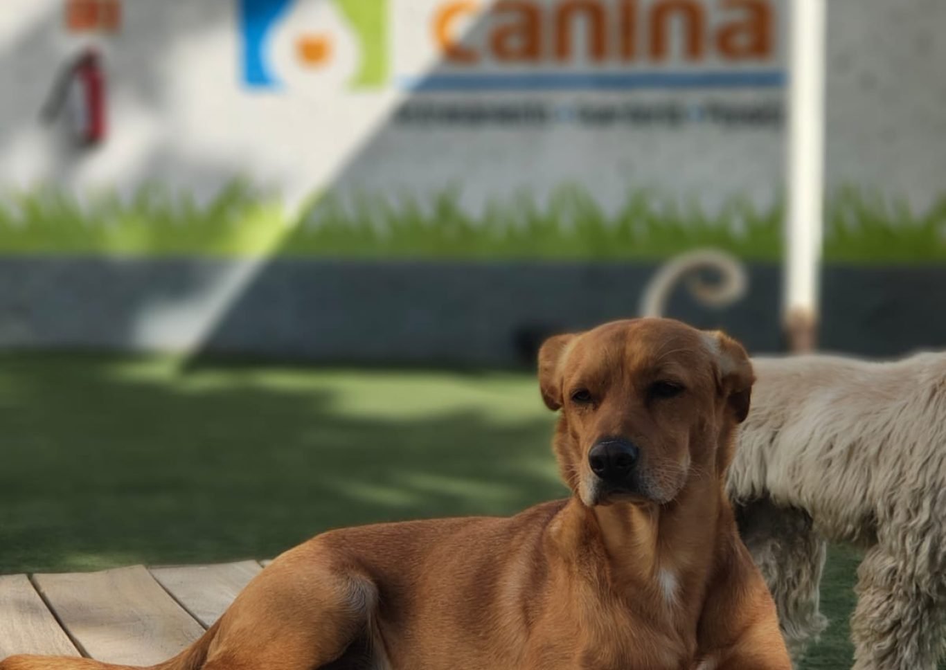 WhatsApp Image 2025-04-18 at 12.27.27 PM