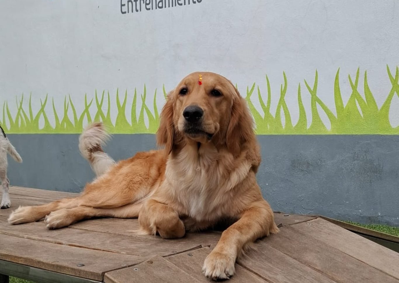 WhatsApp Image 2025-05-02 at 3.10.18 PM