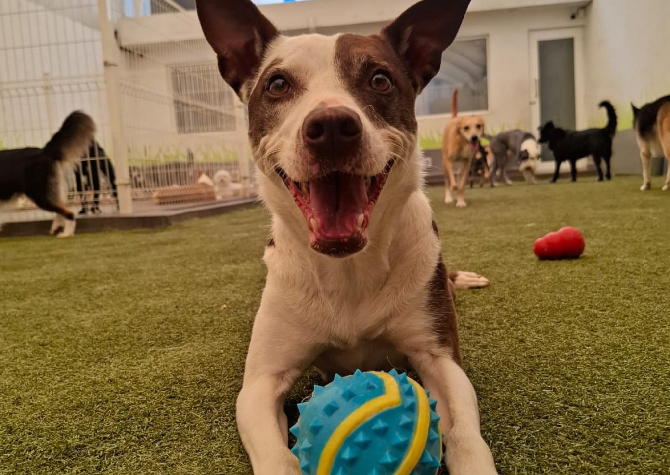 WhatsApp Image 2025-05-15 at 12.37.06 PM